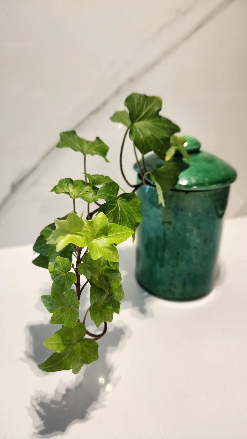 Upcycled Green Jam Jar Planter – Ivy 🌿 - photo 2
