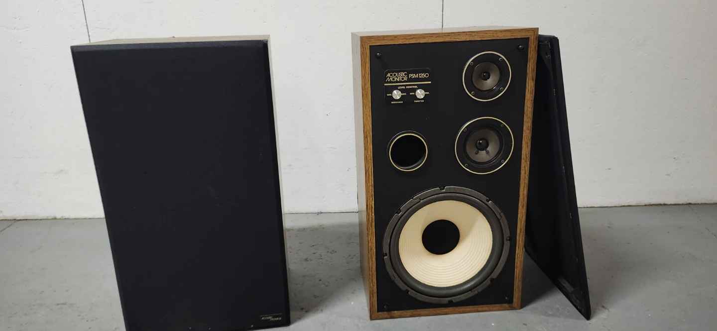 Acoustic Monitor PSM 1250 Speakers