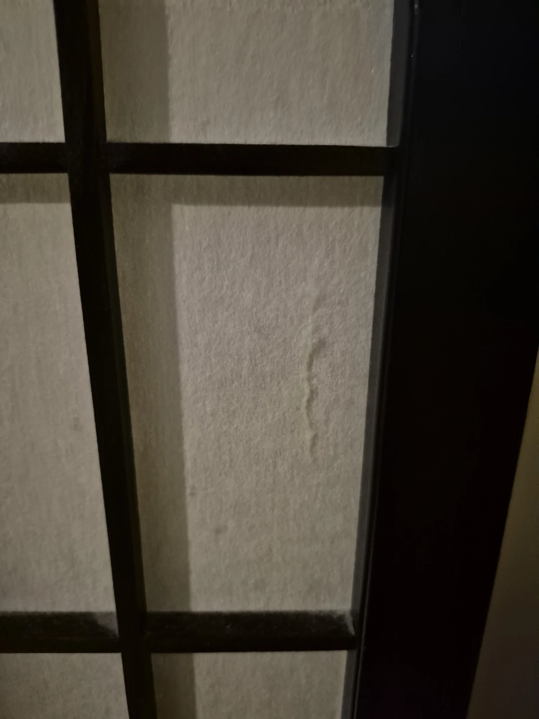 3-Panel Folding Screen Divider - photo 4