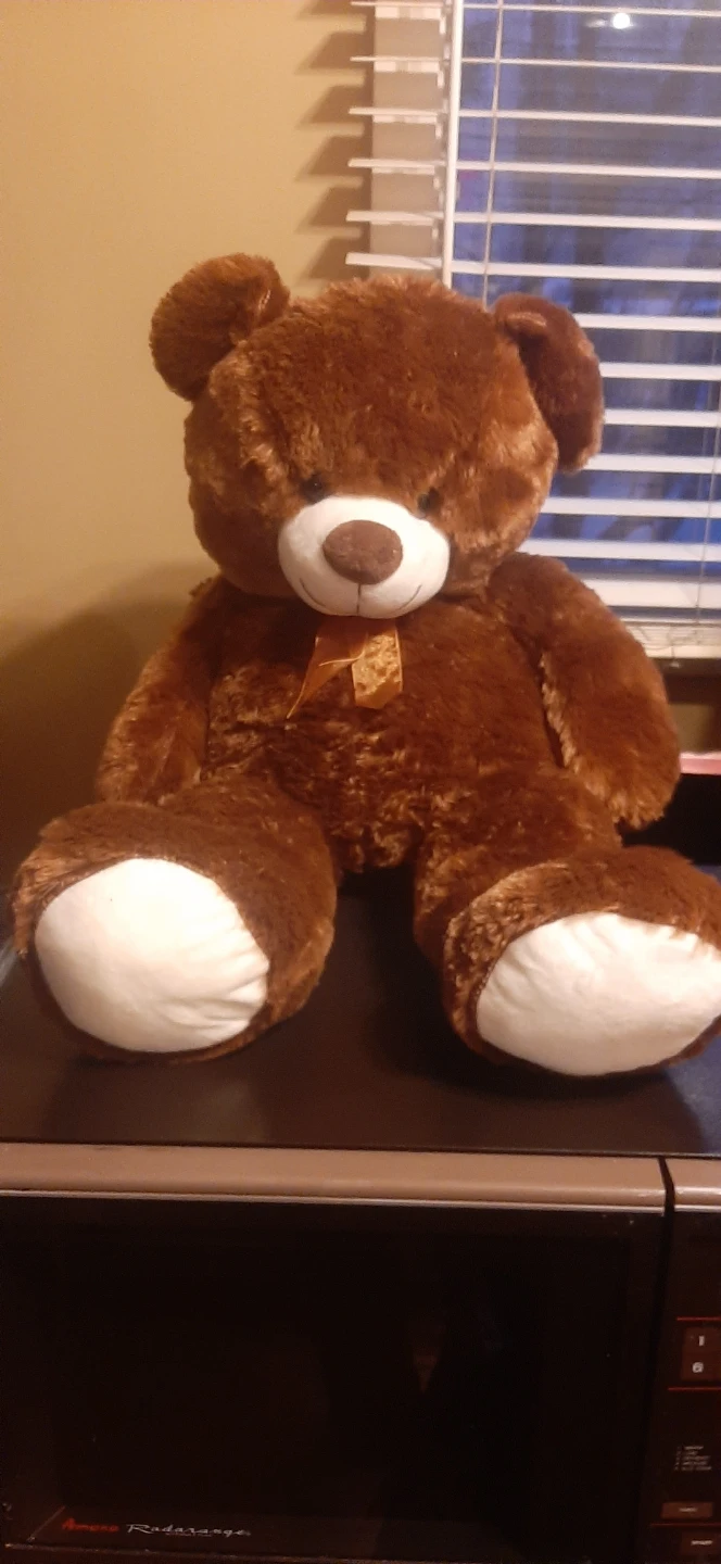 Brown Teddy Bear Plush Toy