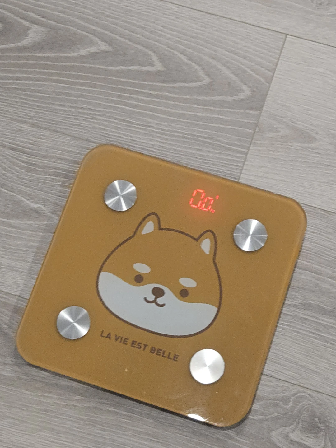 Digital scale