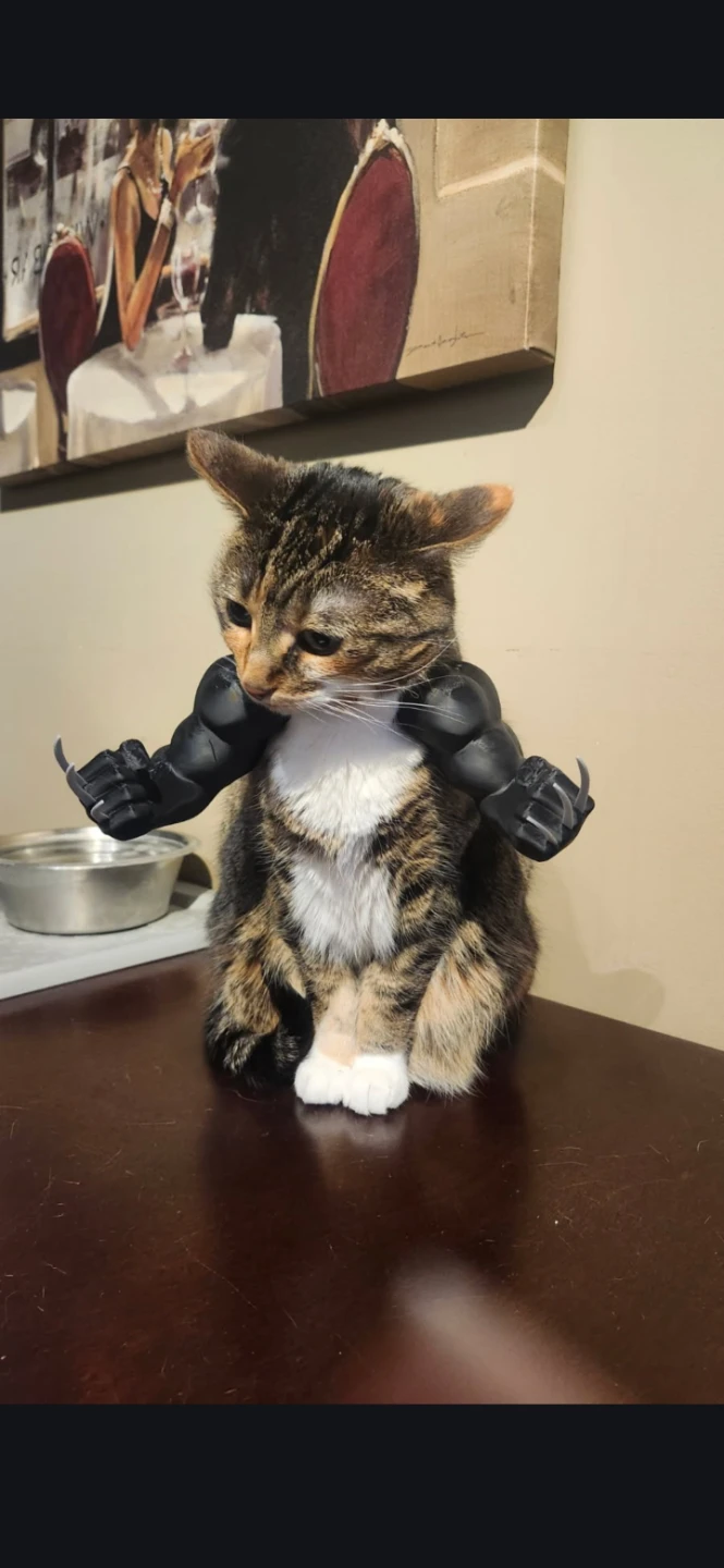 3d printed helmets or arms for pets (cats) - photo 2