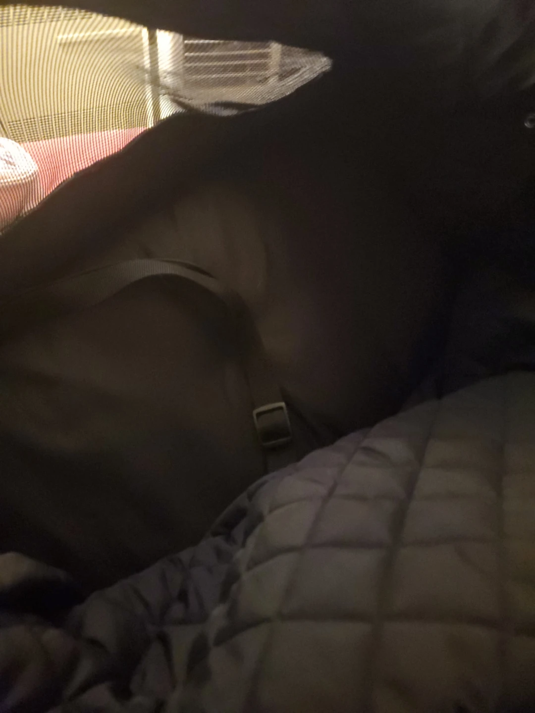 Black Quilted Duffel Bag with Mesh Panel - photo 2