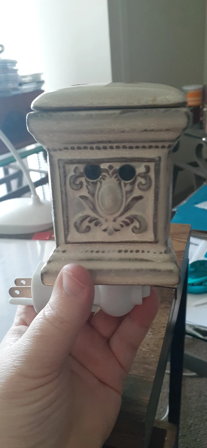 Decorative Plug-in Wall Sconce