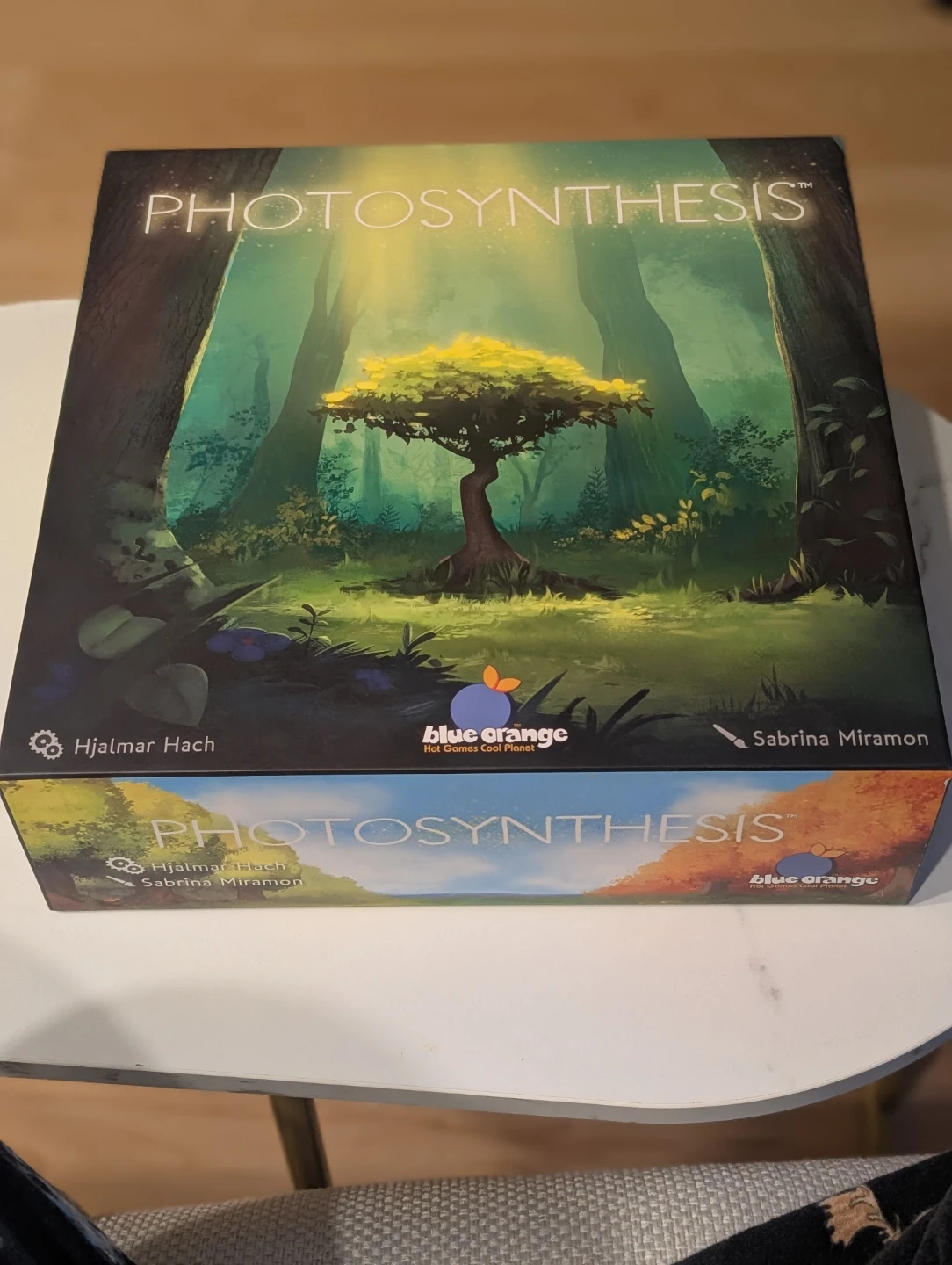 Photosynthesis Board Game