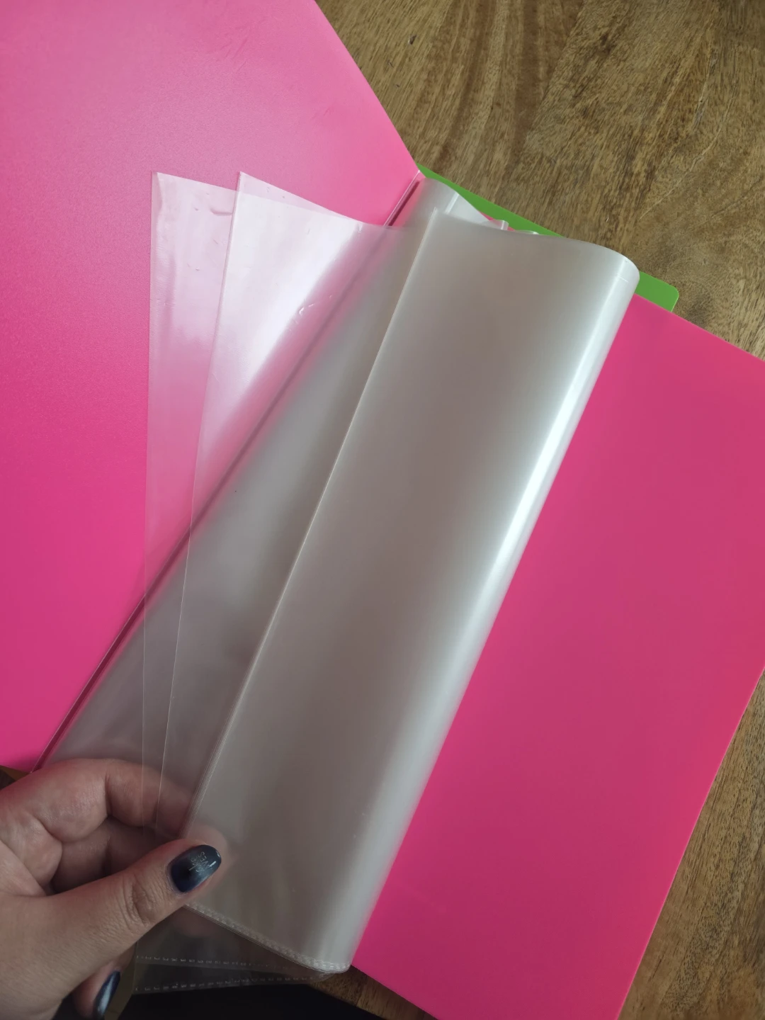 Neon Palette Clear File Folders (Set of 5) - photo 3