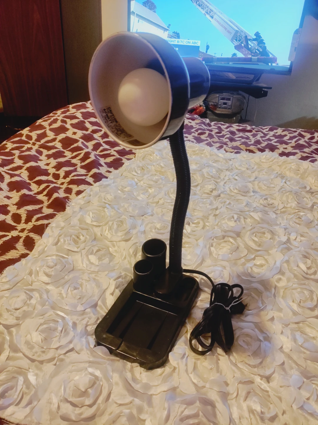 🥕Black Adjustable Gooseneck Desk Lamp with Pen Holder