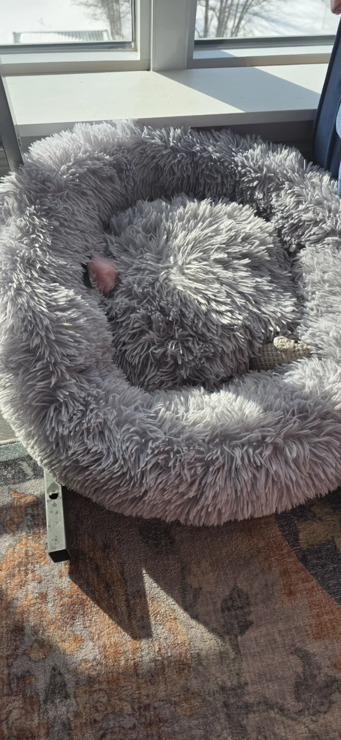 Fluffy Grey Pet Bed