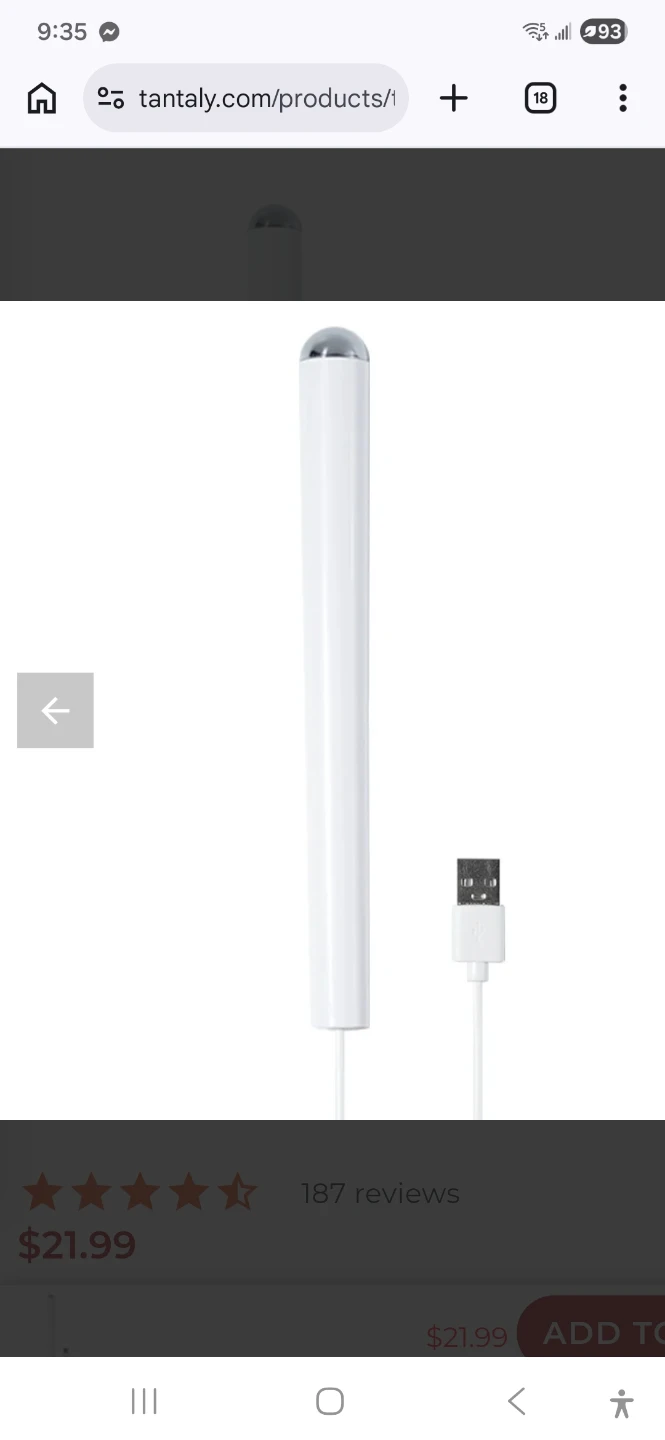 Tantly Auto Temperature Control Heating Rod - photo 4