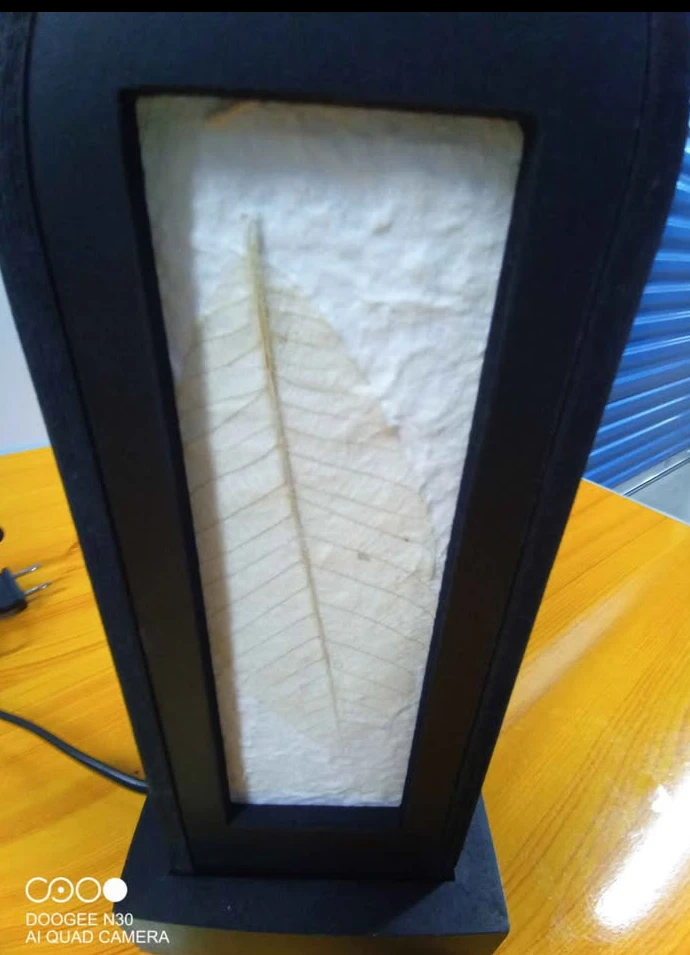 FOSSIL Table Lamp w/Real Fossil Leaf Design - photo 5