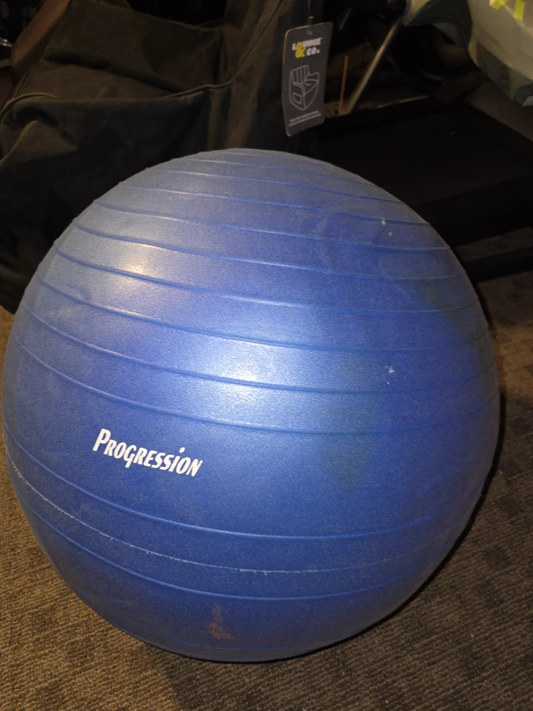 Progression Blue Exercise Ball