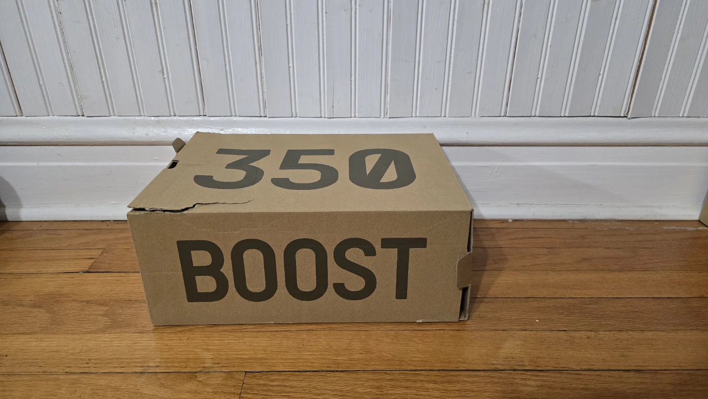 Adidas Yeezy Boost 350 V2 "Light" - Size 11 - photo 2