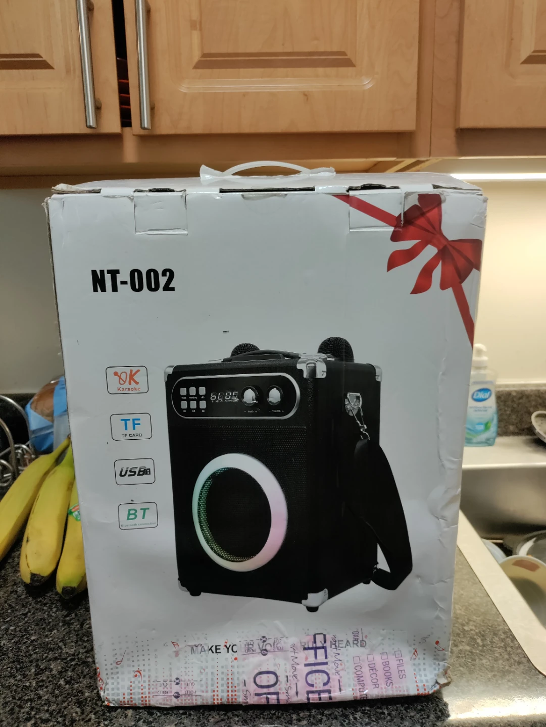 NT-002 Portable Bluetooth Speaker with Karaoke TF USB