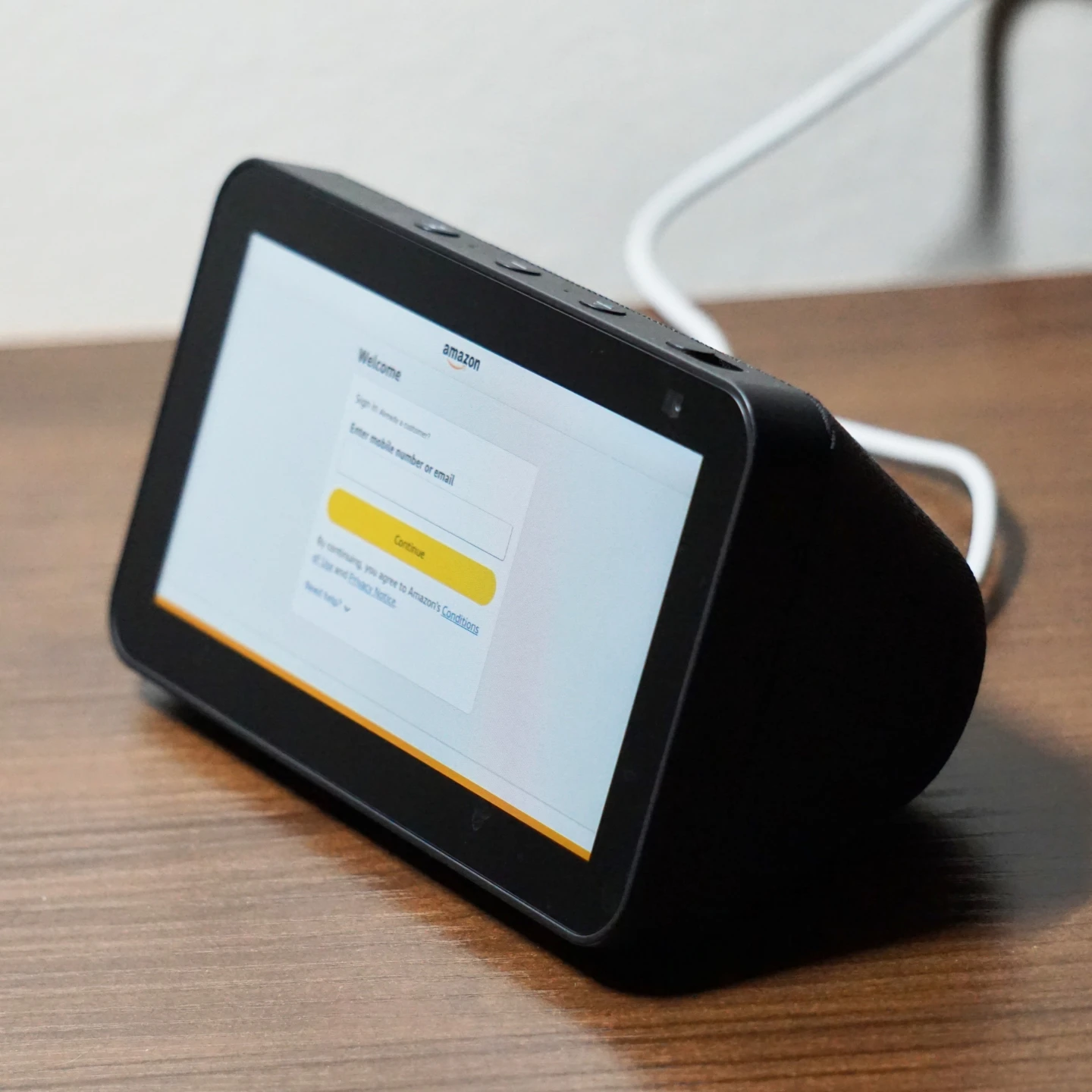 Amazon Echo & Google Nest Thermostat - photo 5