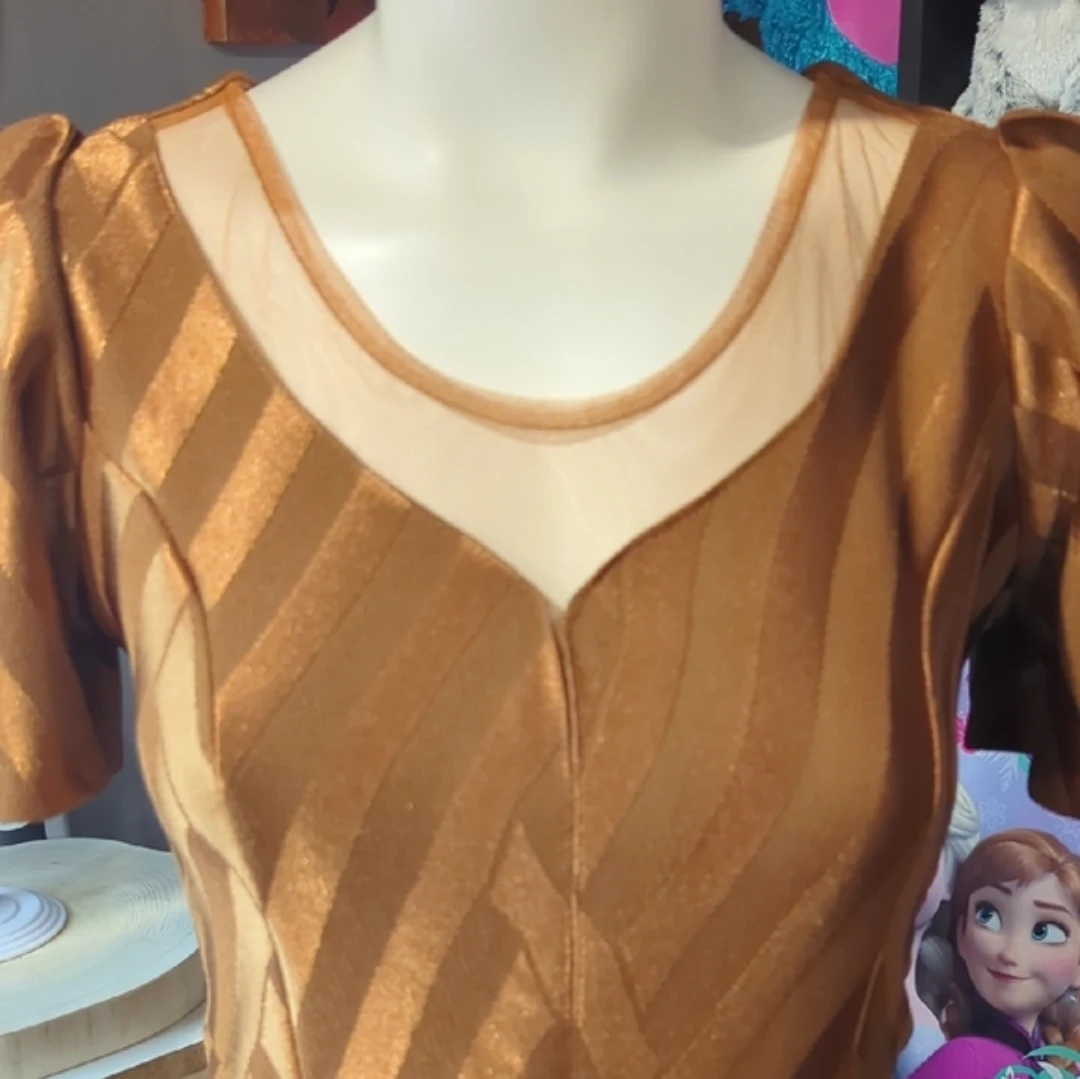 Vintage Gold Striped Mesh Neckline Dress - photo 4