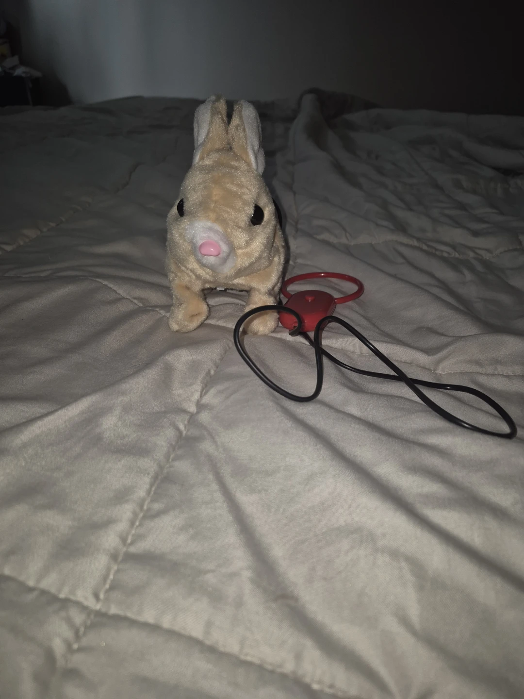 Wind-up Plush Bunny Toy