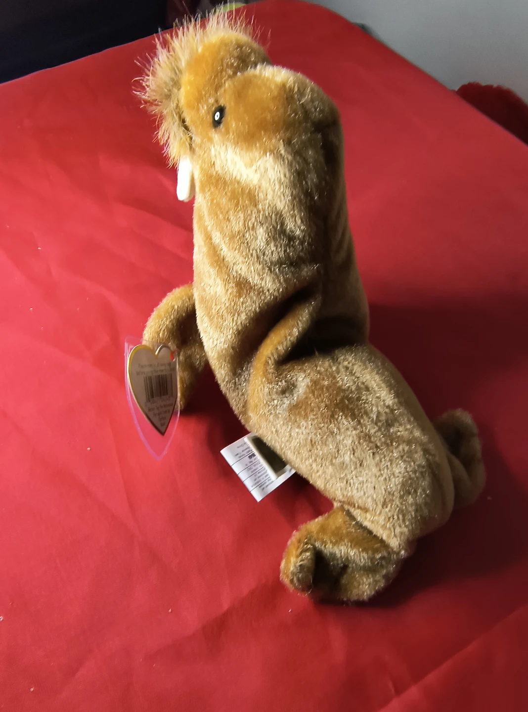 Ty Beanie Baby Paul the Walrus Plush Toy