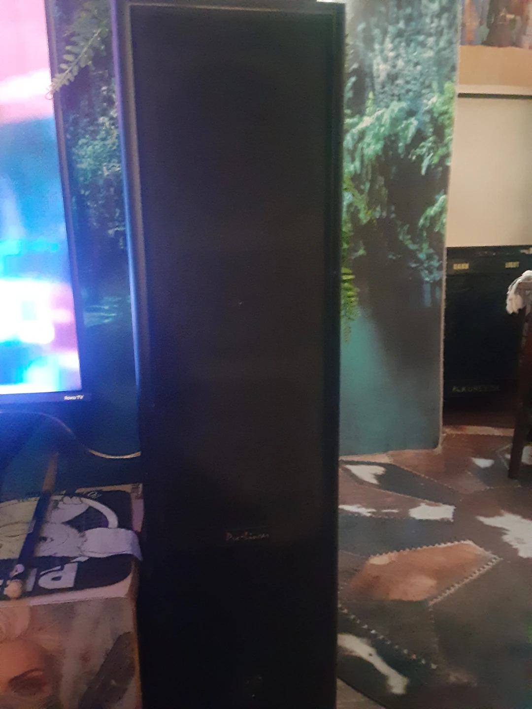 Pro-Linear PL5.6X2T Floorstanding Speaker - photo 2