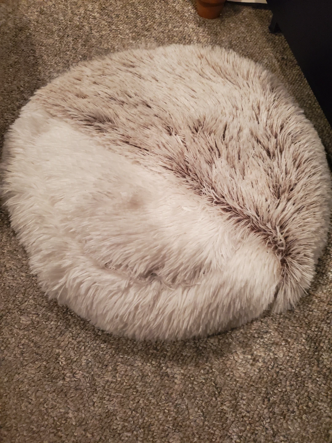 Soft Cat Bed
