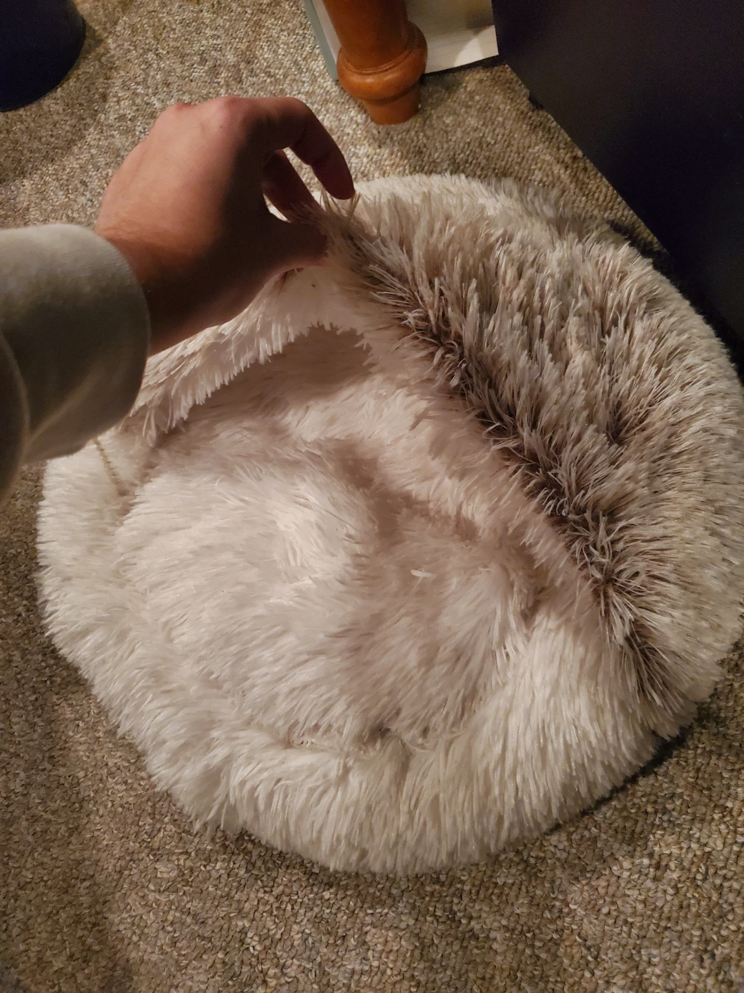 Soft Cat Bed - photo 2