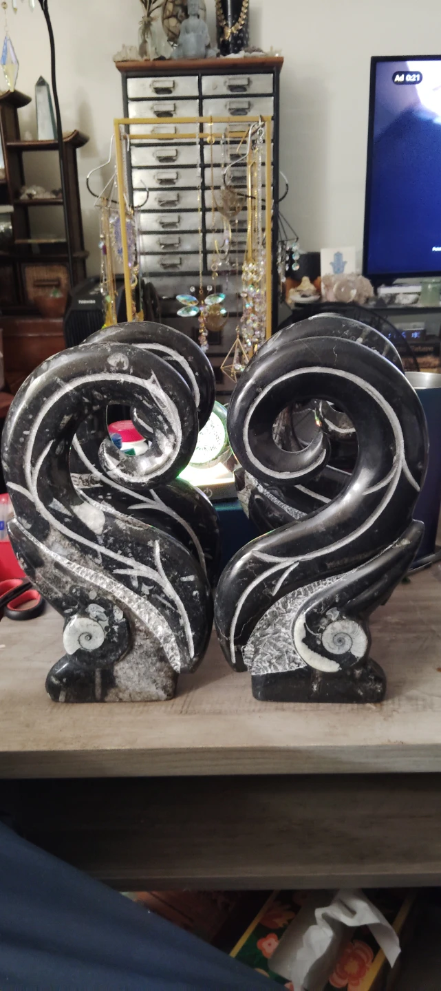 Orthoceras Fossil Ammonite Stone Bookends - photo 2