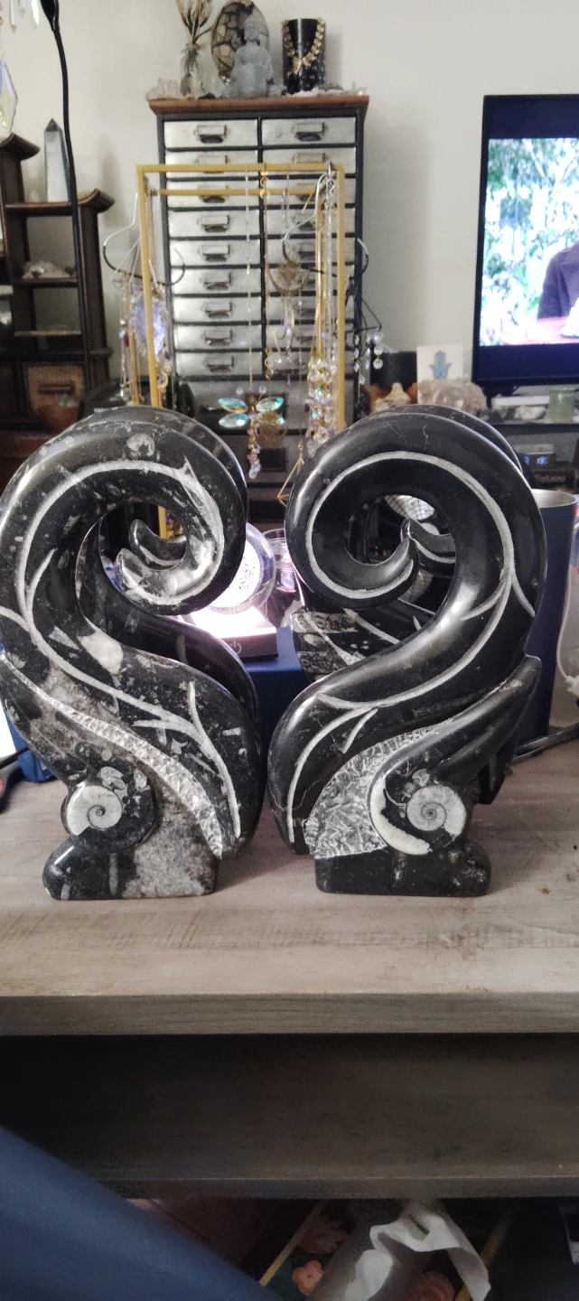 Orthoceras Fossil Ammonite Stone Bookends - photo 3