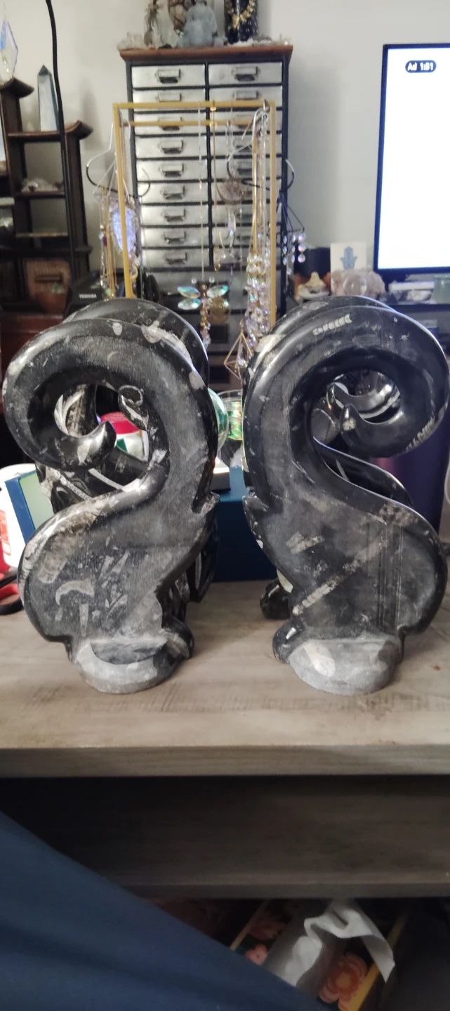 Orthoceras Fossil Ammonite Stone Bookends - photo 4