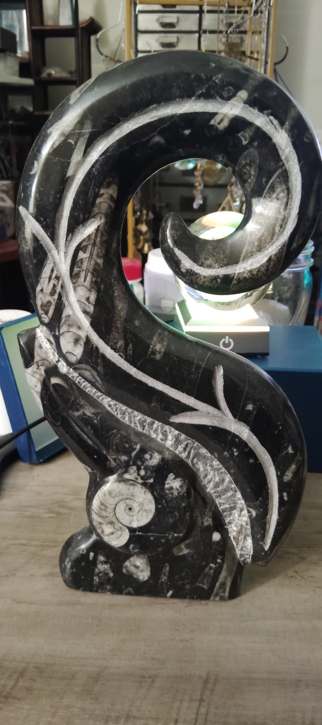 Orthoceras Fossil Ammonite Stone Bookends - photo 5