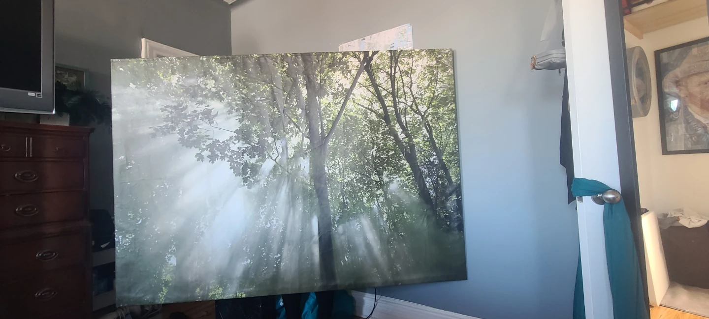 Forest Sunlight Canvas Wall Art - photo 2