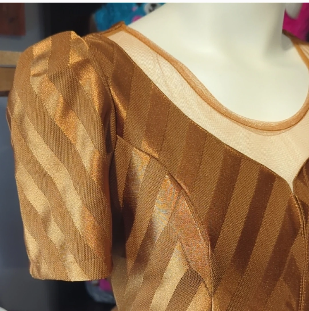Vintage Gold Striped Mesh Neckline Dress - photo 2