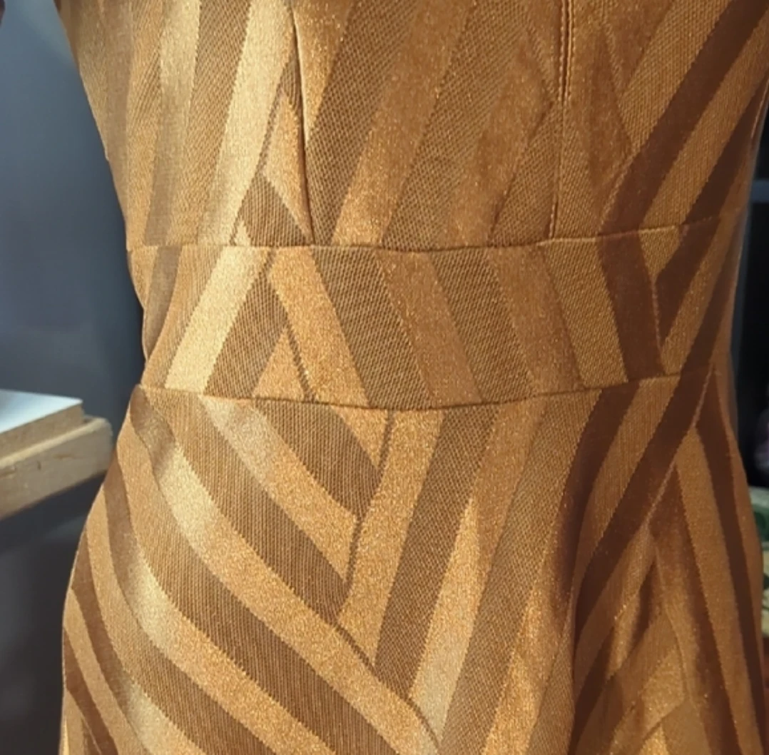 Vintage Gold Striped Mesh Neckline Dress - photo 3