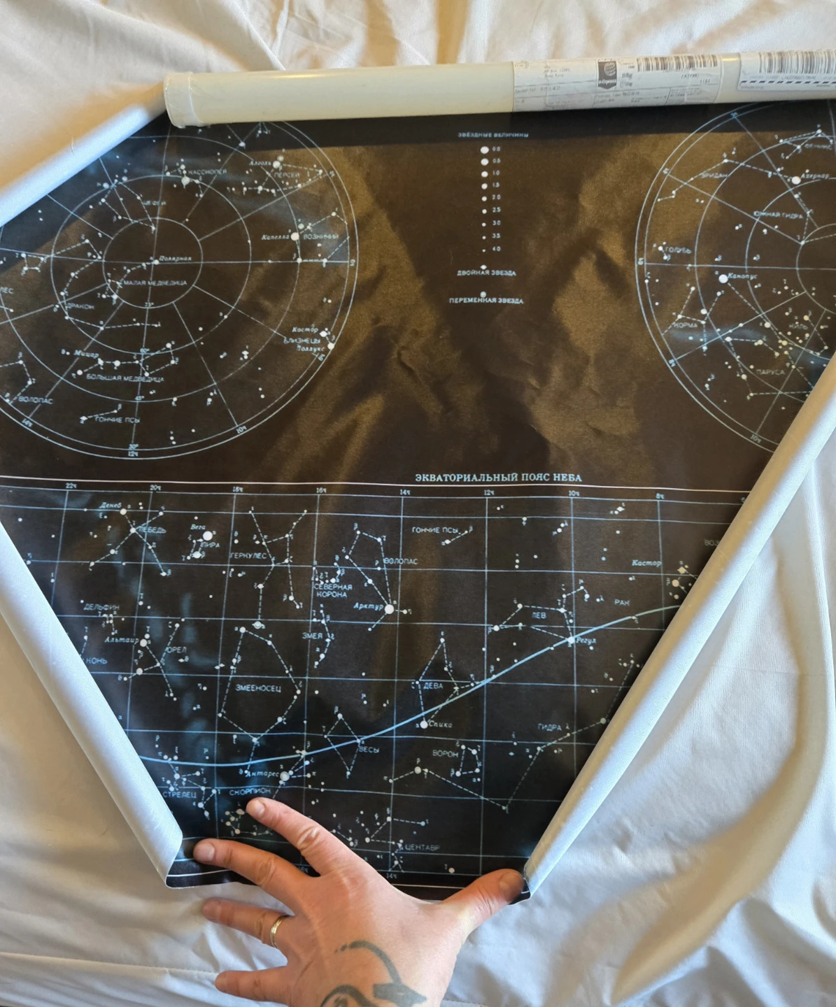 Celestial Star Chart Poster - photo 3