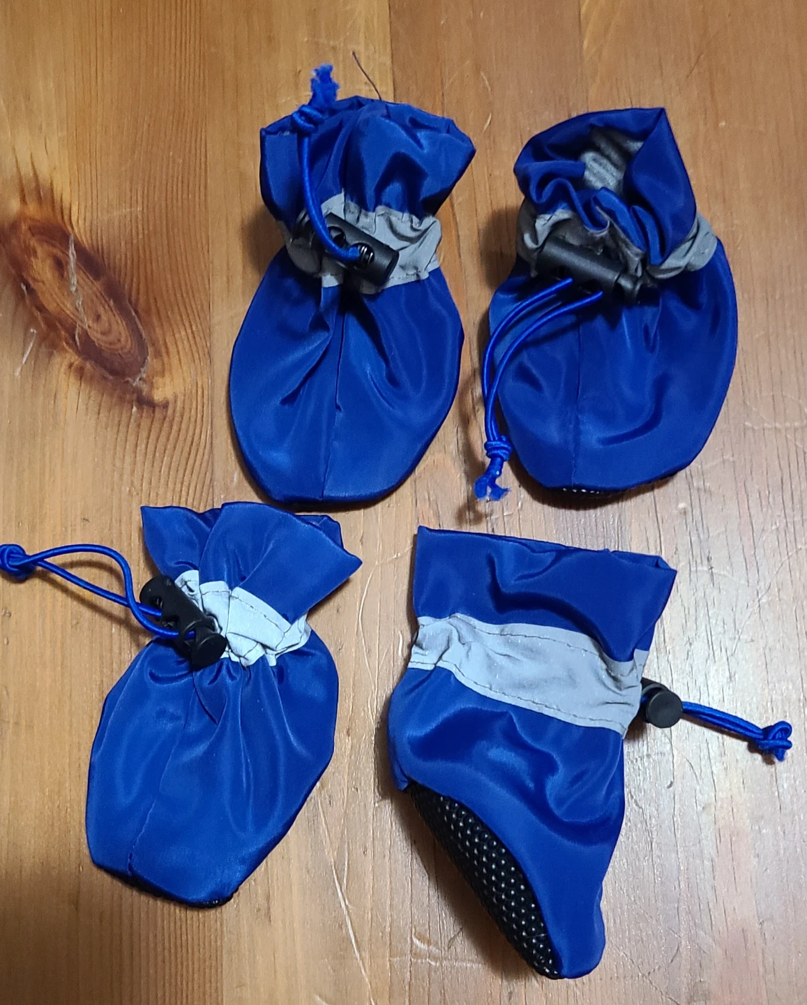 Free Blue Dog Boots Set of 4🥕 - photo 2