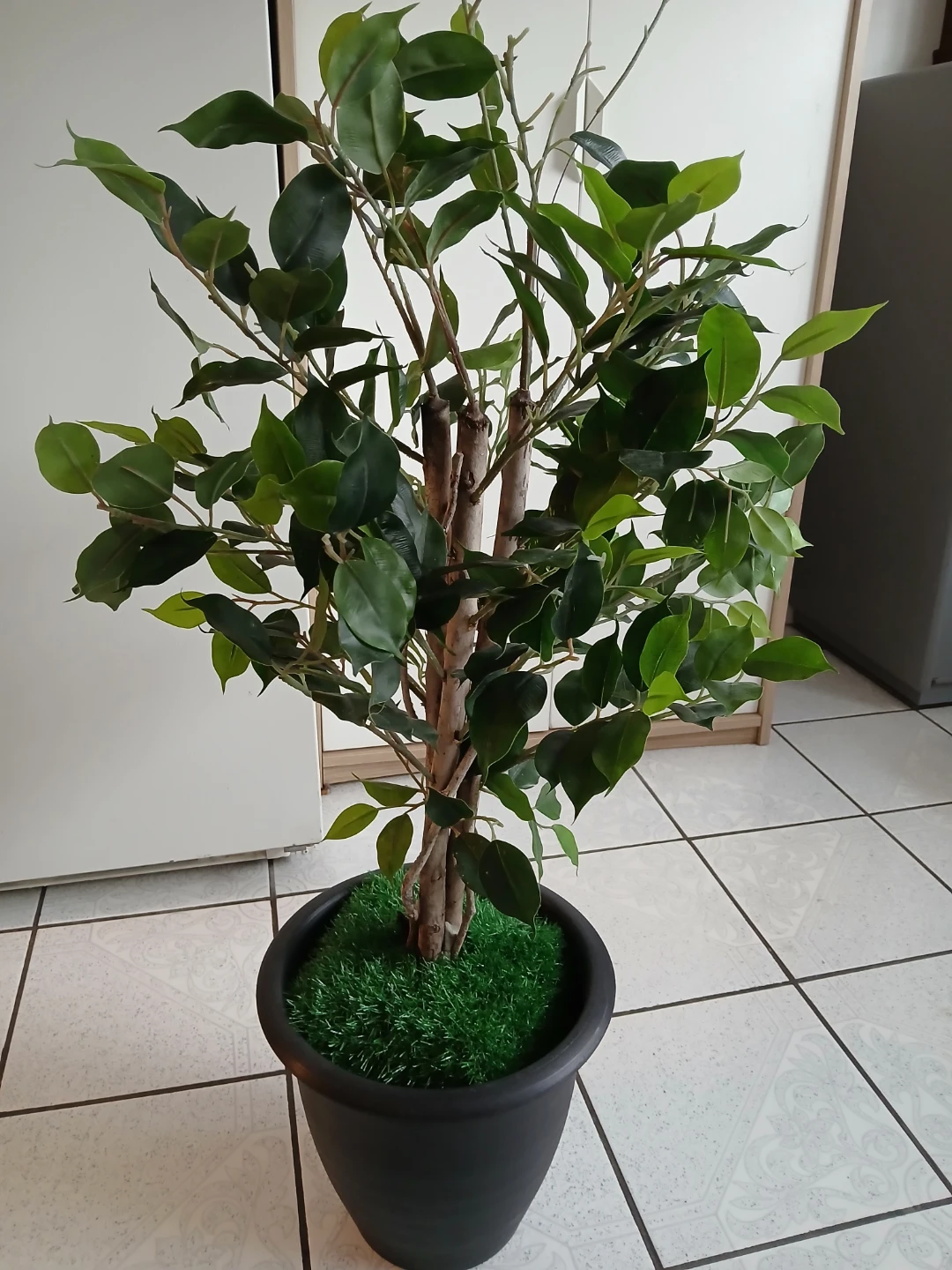 Artificial Ficus Tree in Black Pot - photo 2