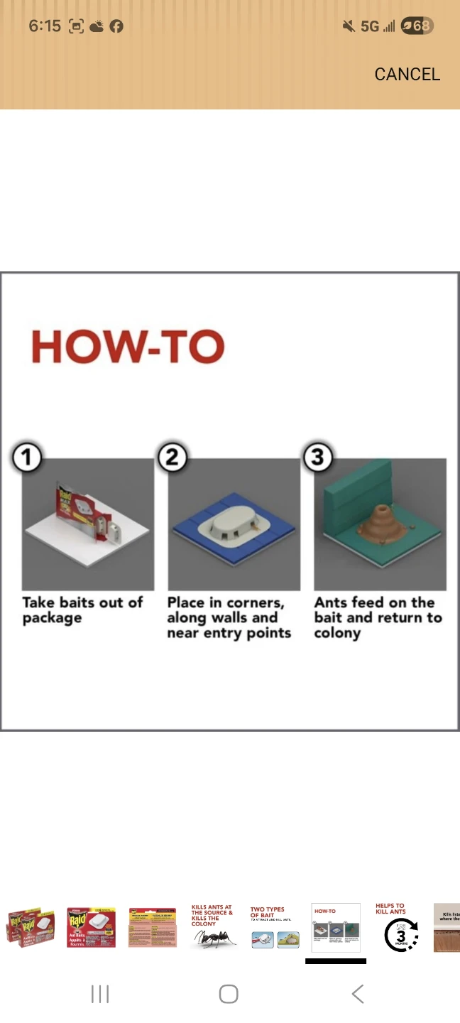 New Raid Ant Baits - Ant and Ant Control - photo 5