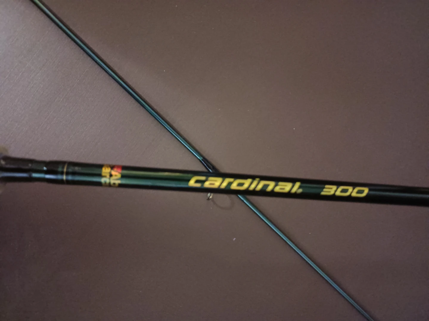 Abu Garcia Cardinal 300 Fishing Rod