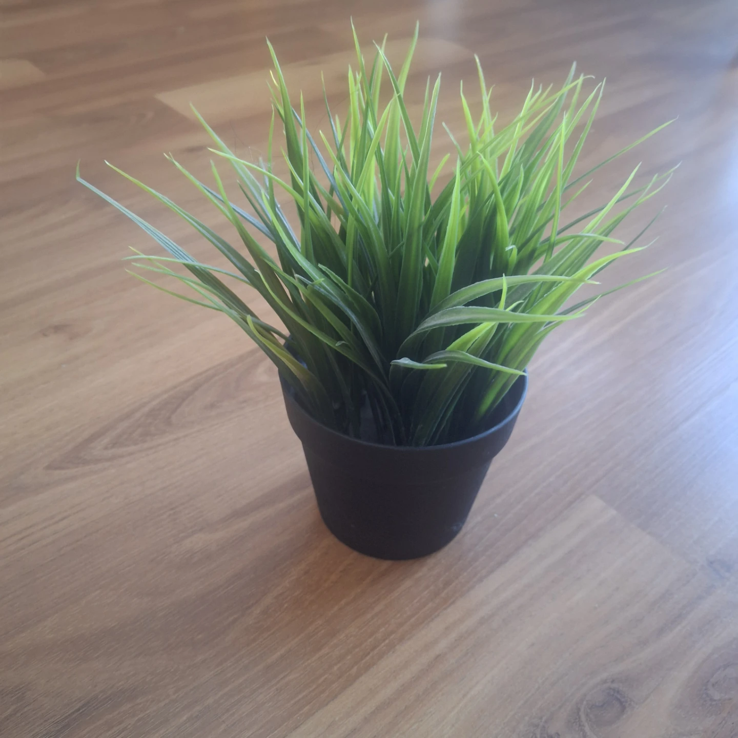 Ikea Artificial Grass Plant