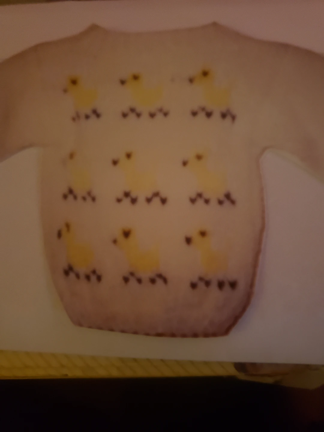Child "s chickie sweater