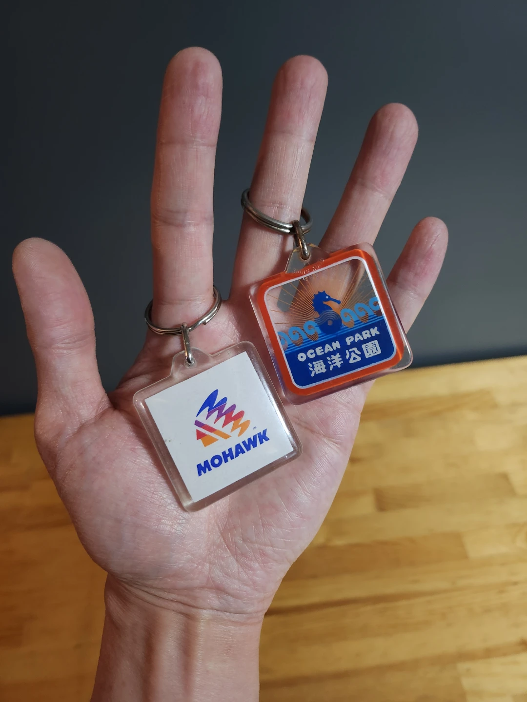 Vintage Ocean Park & Mohawk Keychains - photo 4