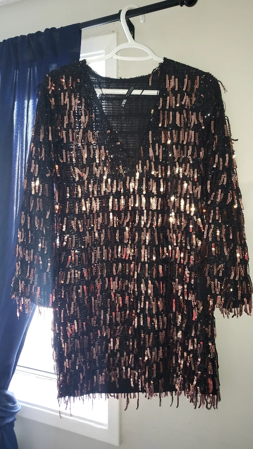 Zara dress