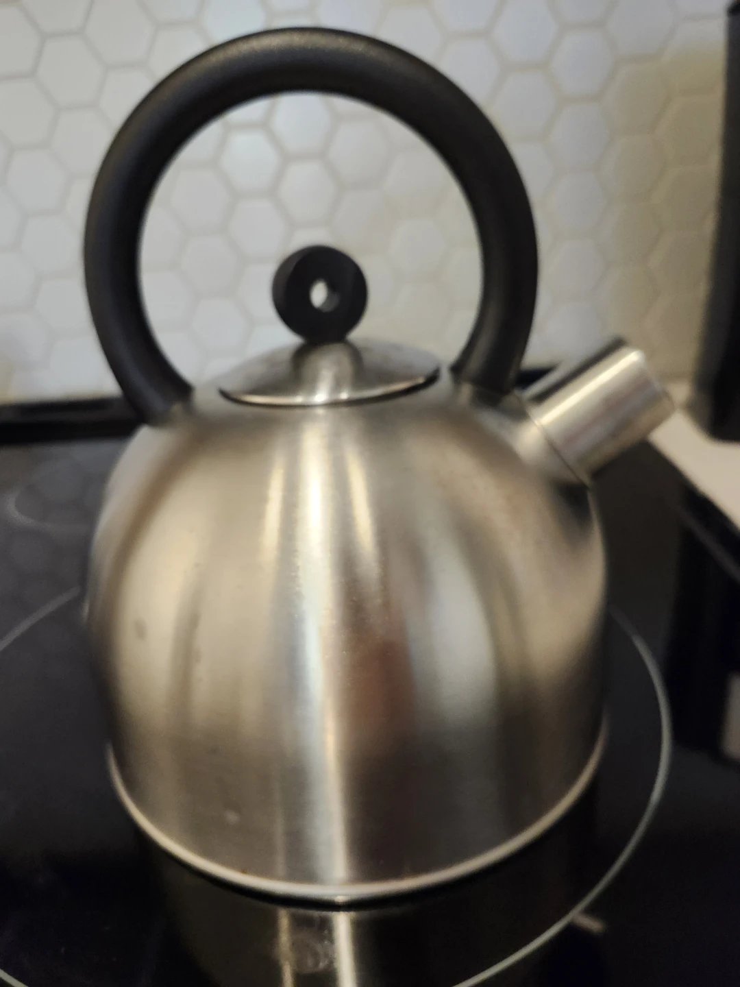 Stainless Steel Stovetop Kettle