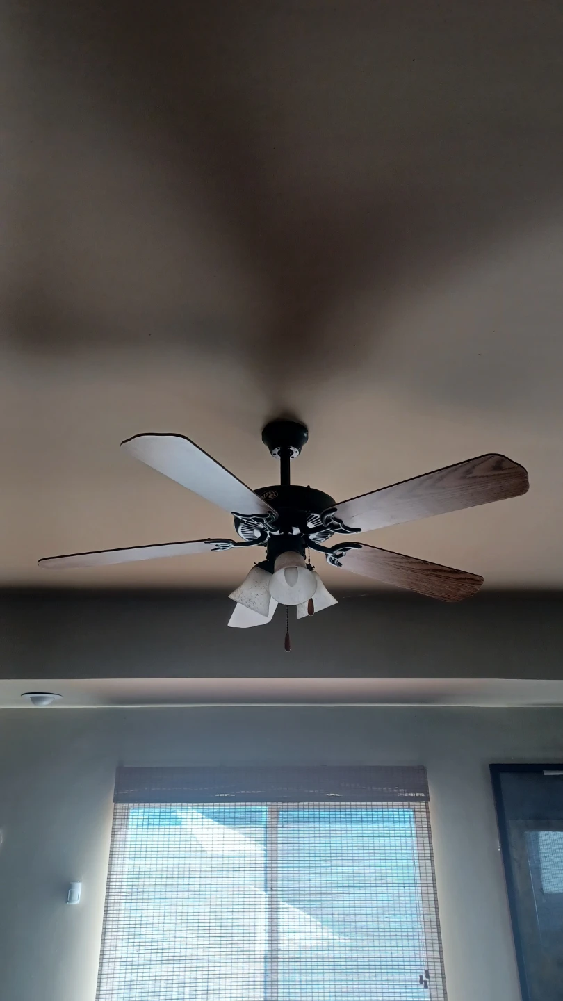 Hunter Ceiling Fan with Lights