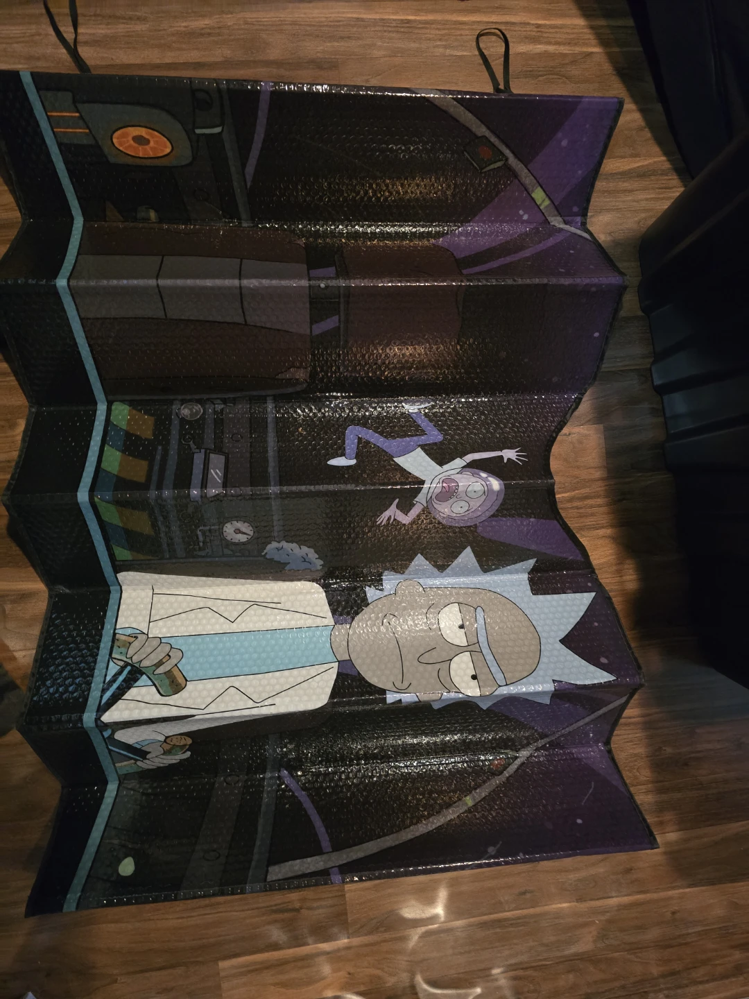 Rick and Morty Accordion Sunshade
