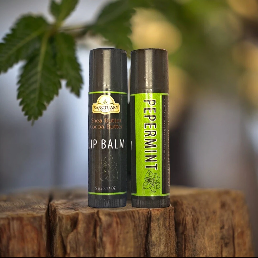 Sanctuary Lip Balm - Shea Butter & Cocoa Butter, Peppermint