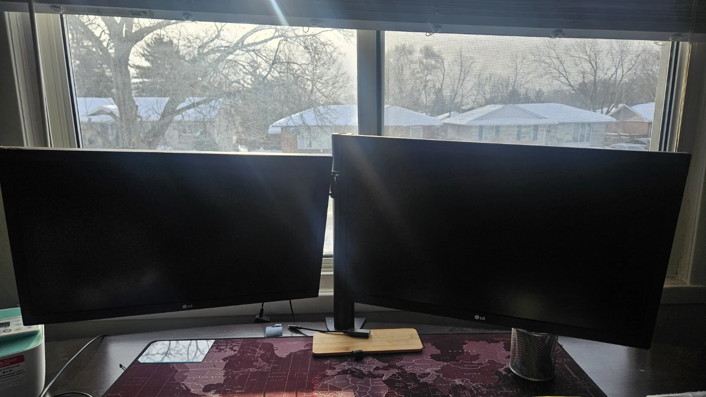 LG Dual Monitors