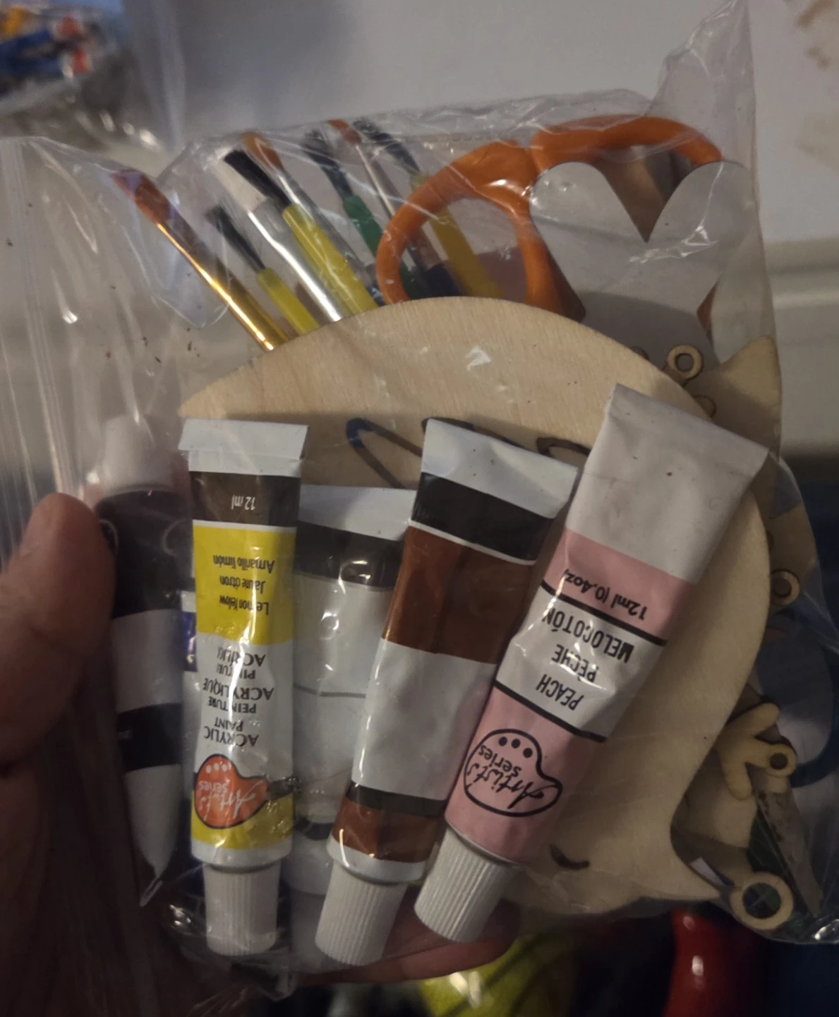 Artiste Series Kids Craft Kit with Paints and Wooden Shapes