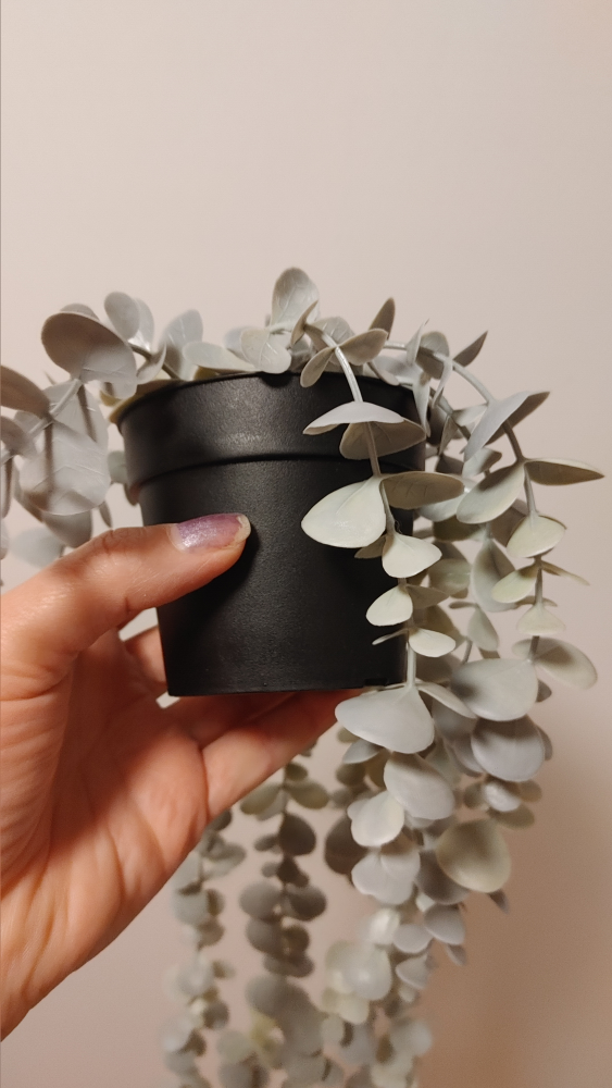 Artificial Eucalyptus Plant - photo 5