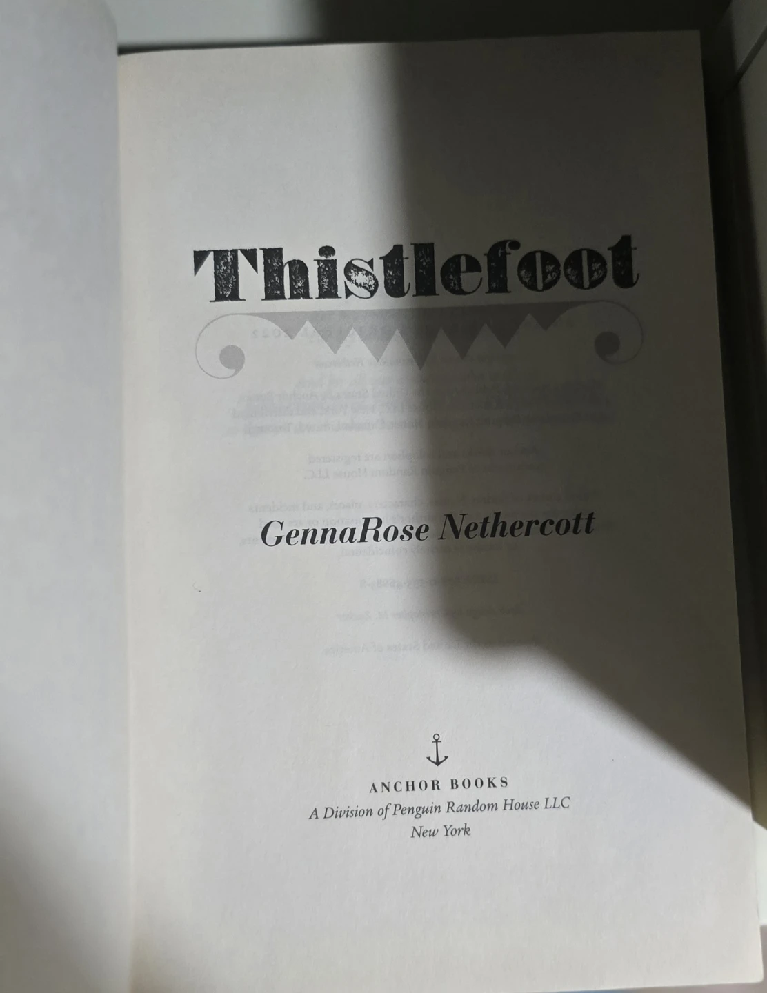 Thistlefoot by GennaRose Nethercott - photo 4