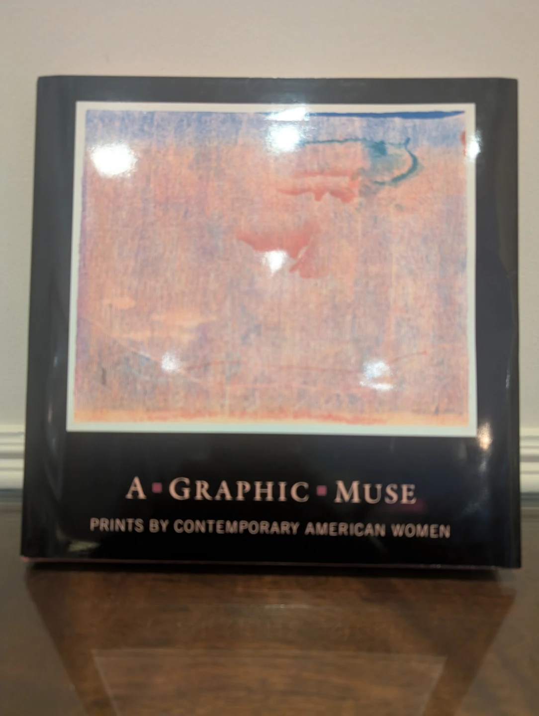 A Graphic Muse: Prints by Contemporary American Women Book