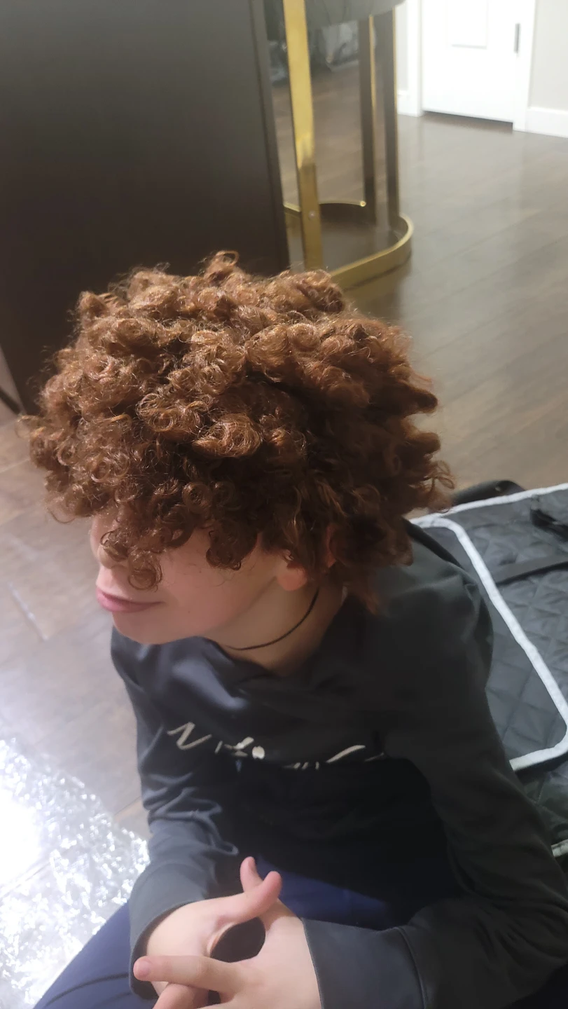 Brown Curly Wig (New) - photo 2